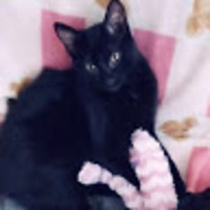 Meet your Posher, Vanity